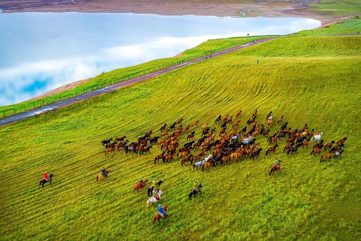 Shandan Army Horse Farm